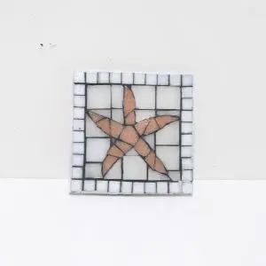 Sea Star Coaster
